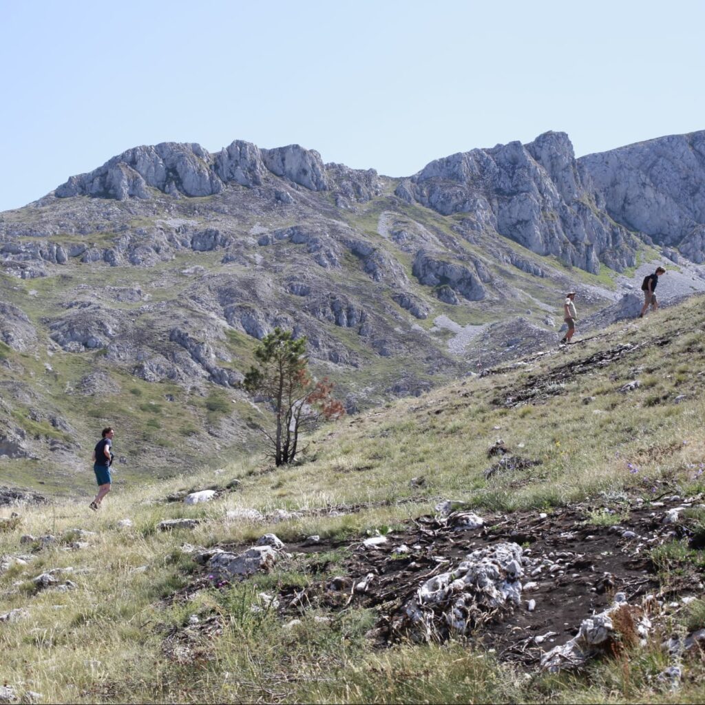 Instagram post from glhdexpreszo. This post is in position 5.